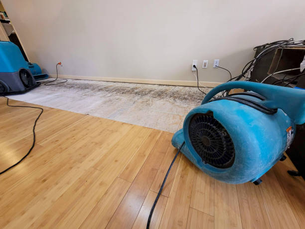 Professional Flood Damage Cleanup technician working in Kaukauna, WI
